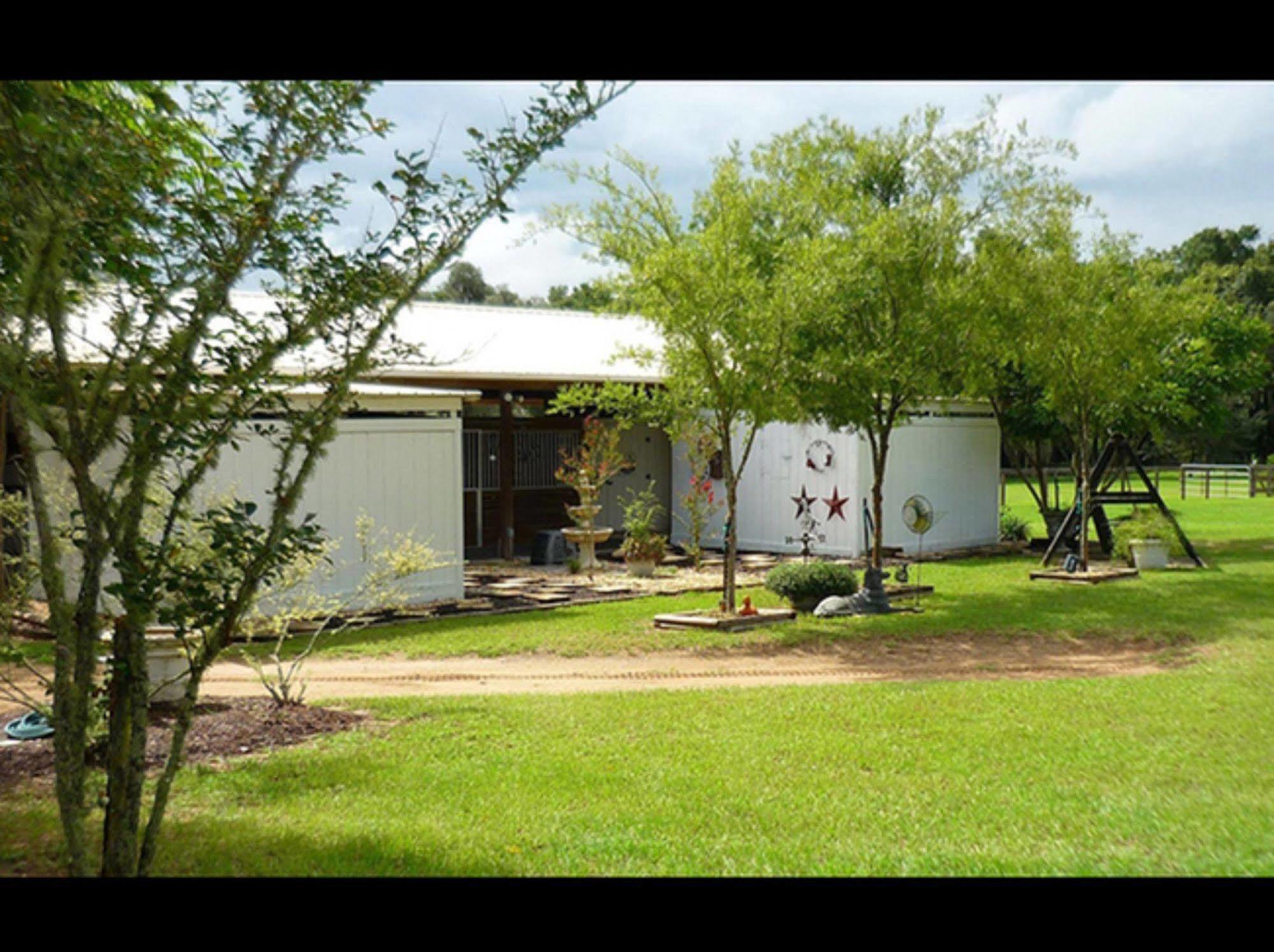 Bed and Breakfast Rock Pointe Ranch Floral City Екстер'єр фото